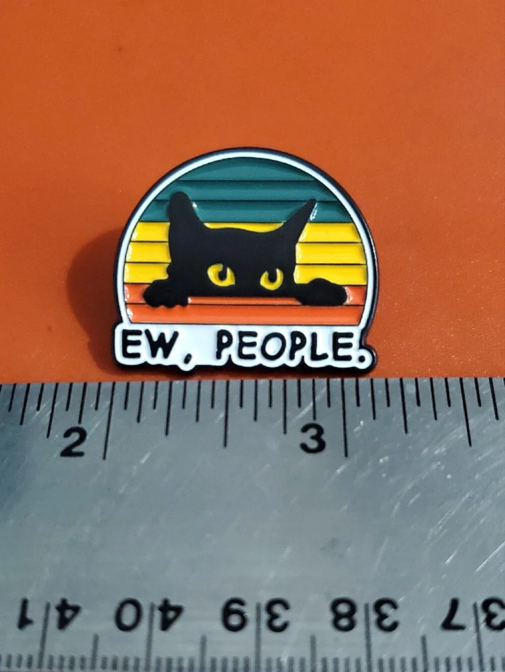 Ew, People. Black Cat Enamel Pin - Retro Stripe Colors